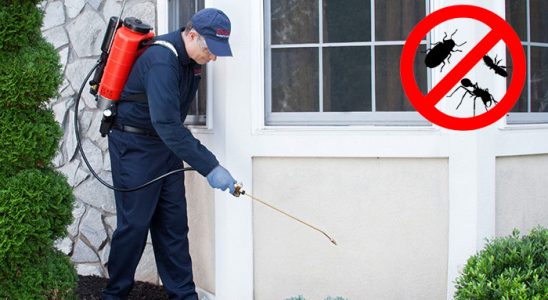 Keçiborlu Hamam Böceği İlaçlama böcek ilaçlama ve haşere kontrolü — ilaclama-tr.com